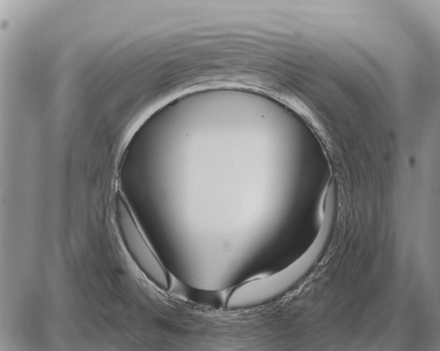 X0000086301524200704271814