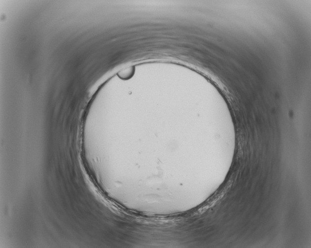 X0000086301526200704271814