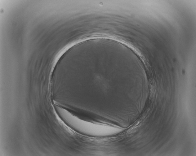 X0000086301527200704271814