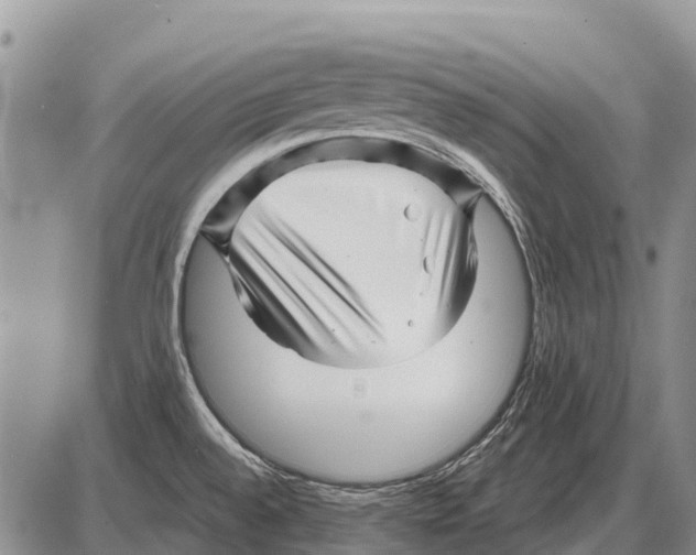 X0000086301528200704271814