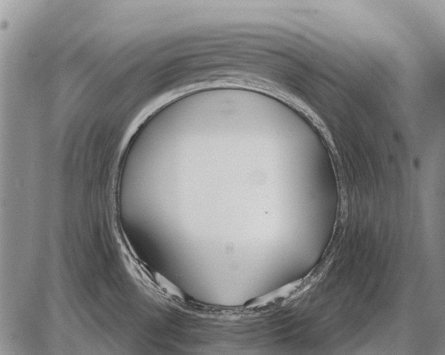 X0000086301530200704271814