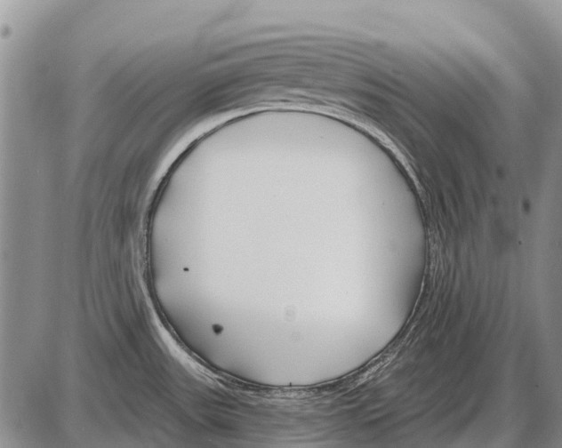 X0000086301531200704271814