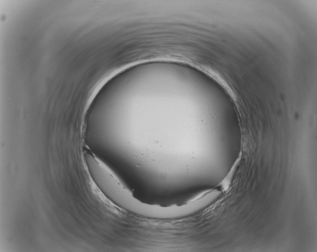 X0000086301532200704271814