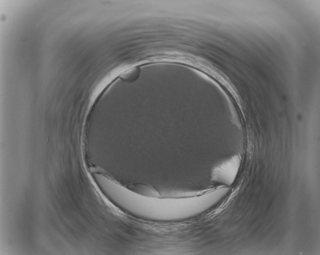 X0000086301533200704271814