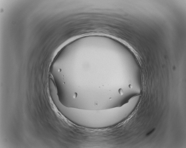 X0000086301534200704271814