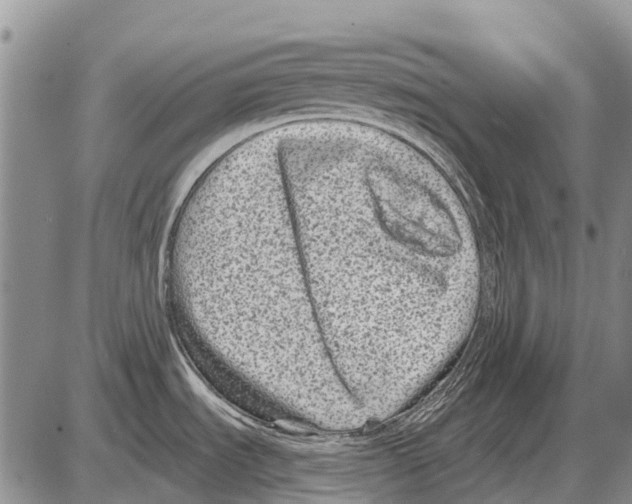 X0000086301535200704271814