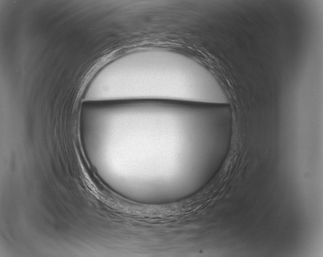 X0000086310003200703301008