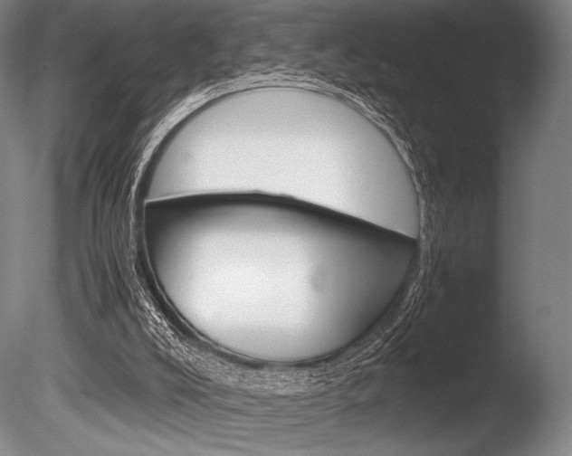 X0000086310008200703301008