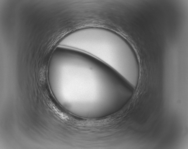 X0000086310009200703301008