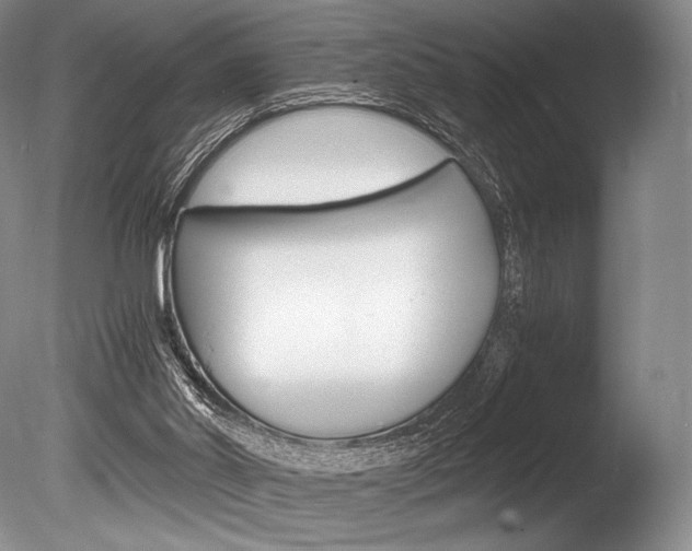 X0000086310014200703301008