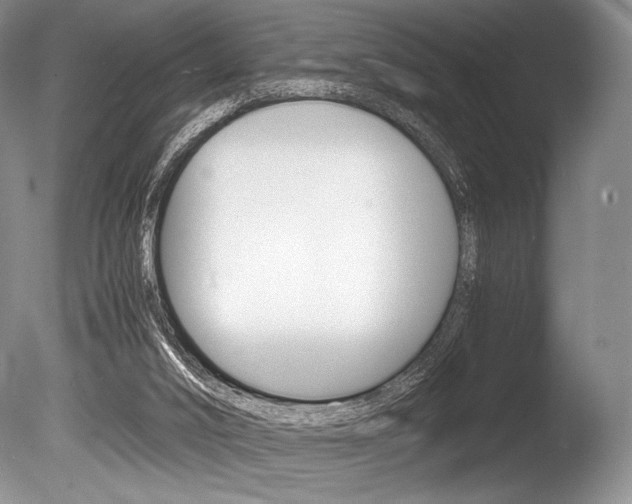 X0000086310016200703301008