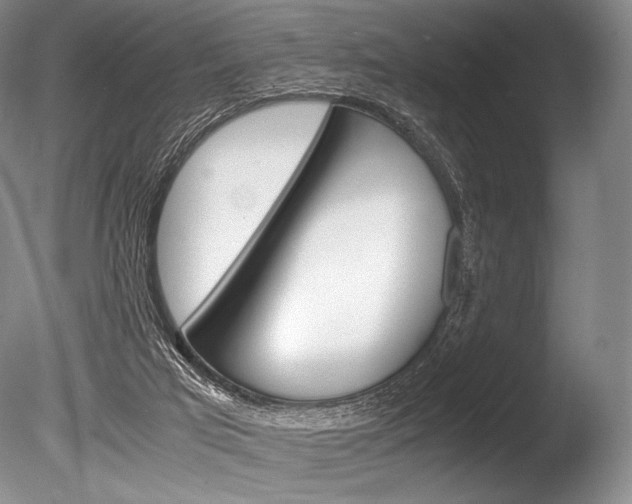 X0000086310017200703301008