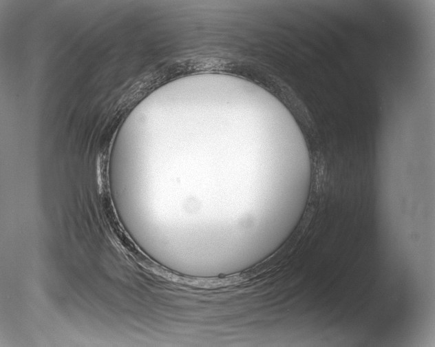 X0000086310026200703301008
