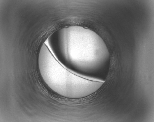 X0000086310027200703301008