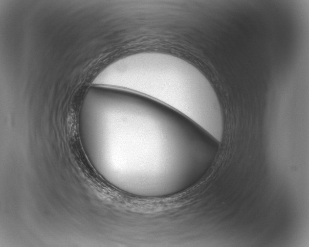X0000086310029200703301008
