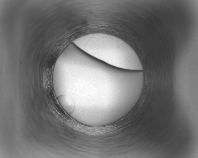 X0000086310030200703301008