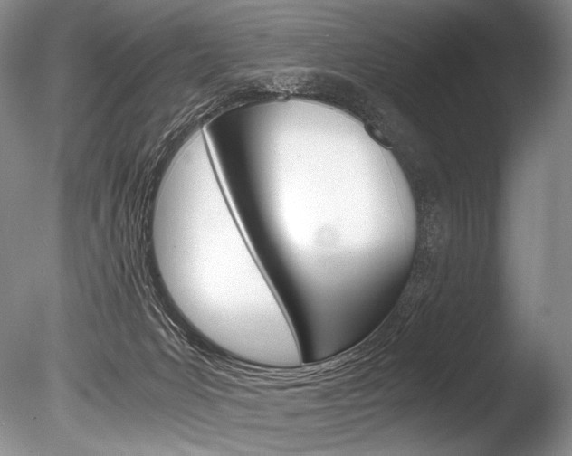 X0000086310031200703301008