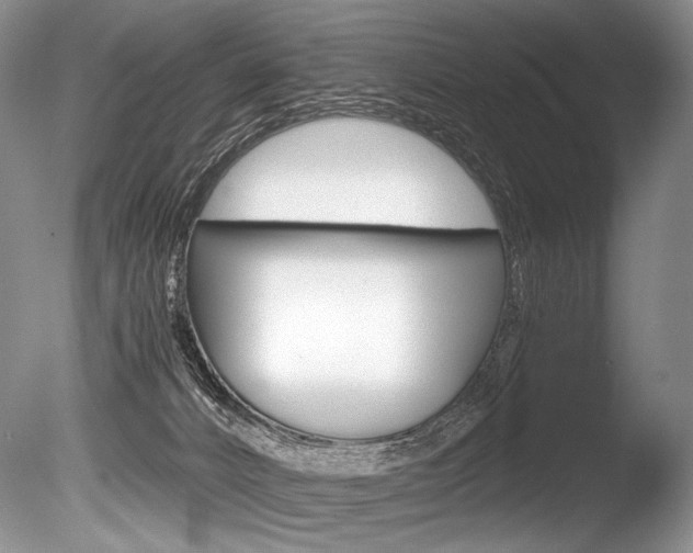 X0000086310032200703301008