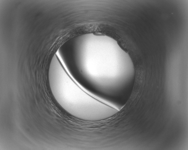 X0000086310035200703301008