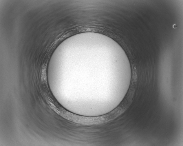 X0000086310036200703301008