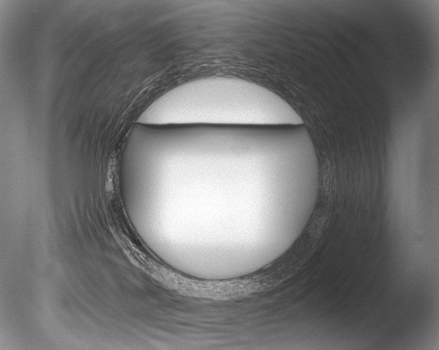 X0000086310038200703301008