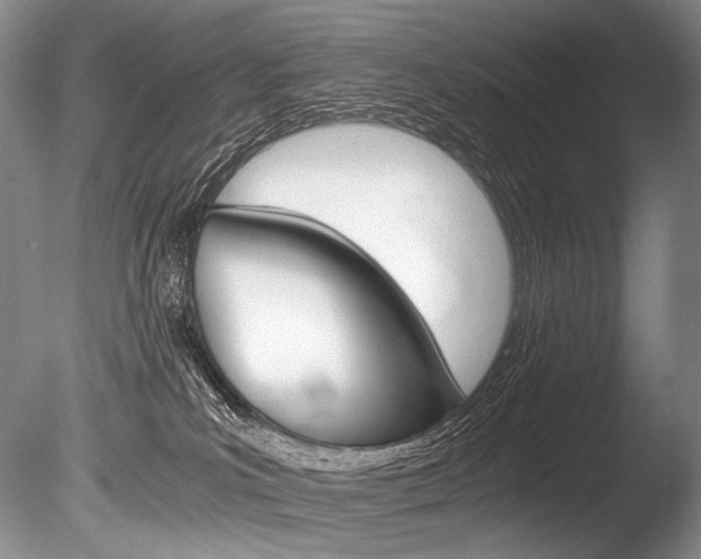 X0000086310039200703301008