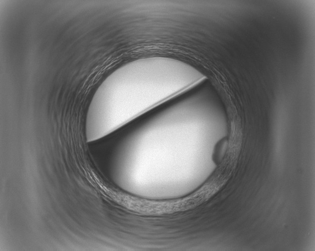 X0000086310048200703301008