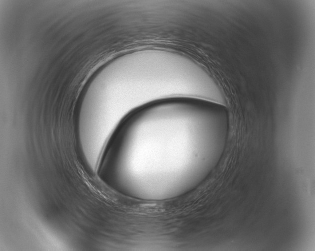 X0000086310050200703301007