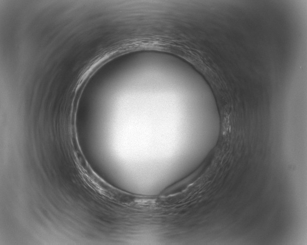 X0000086310052200703301007