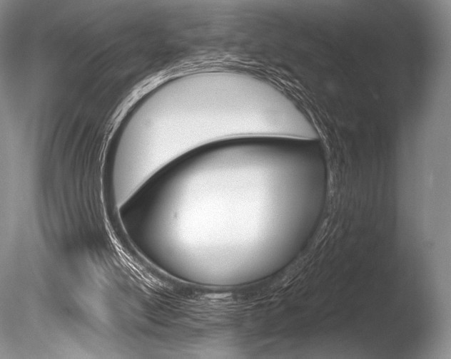 X0000086310054200703301007