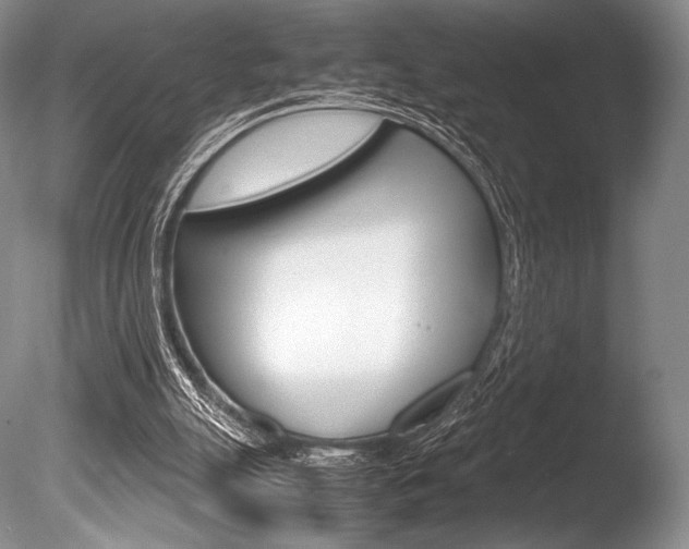X0000086310055200703301007
