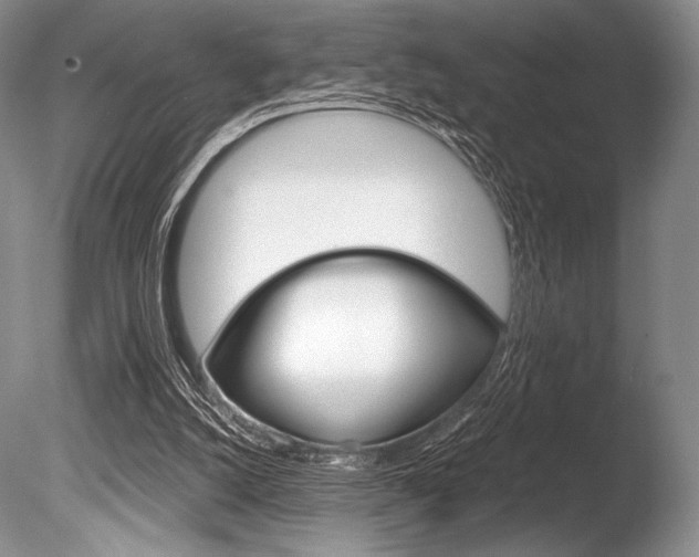 X0000086310056200703301007