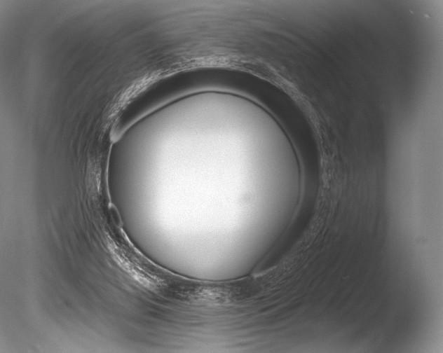 X0000086310060200703301007