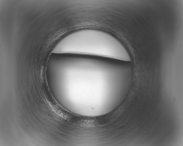 X0000086310066200703301007