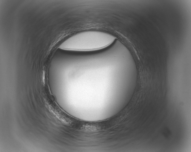 X0000086310067200703301007