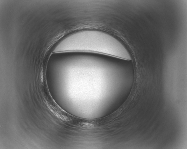 X0000086310068200703301007
