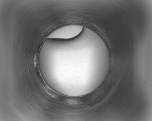 X0000086310069200703301007