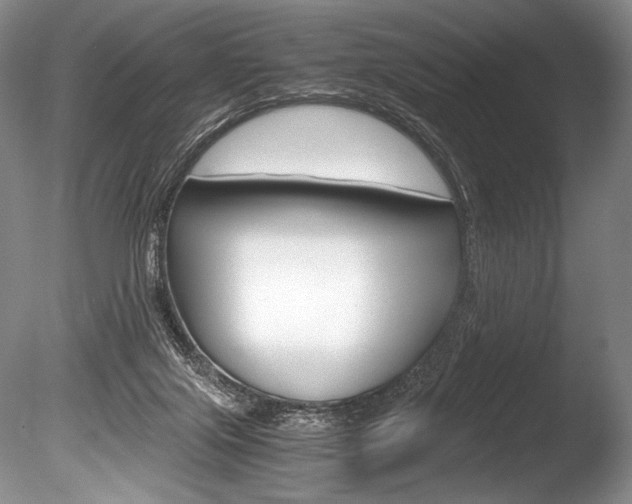X0000086310071200703301007