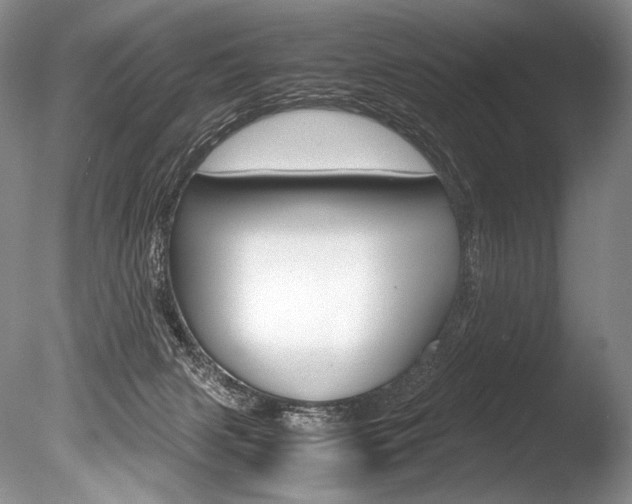 X0000086310079200703301007