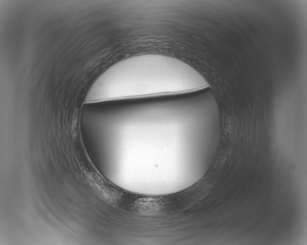 X0000086310082200703301007