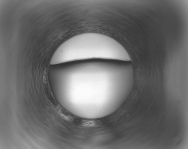 X0000086310083200703301007
