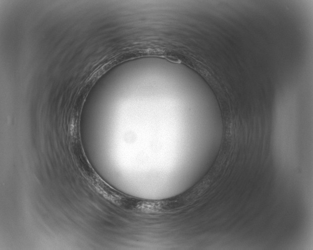 X0000086310084200703301007