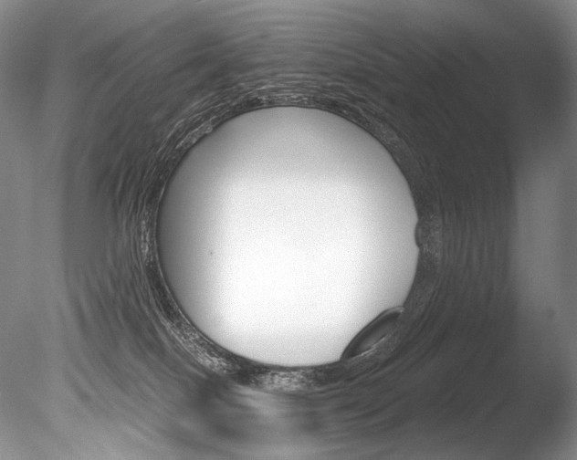 X0000086310086200703301008