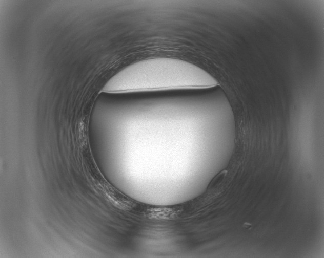 X0000086310087200703301008