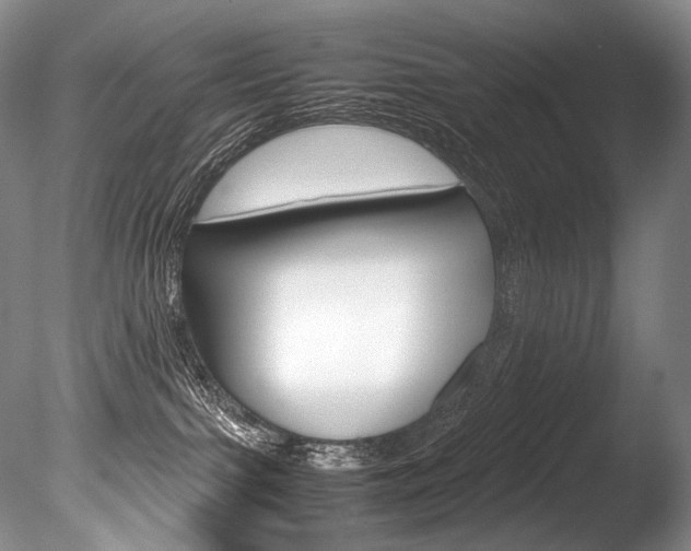 X0000086310091200703301008