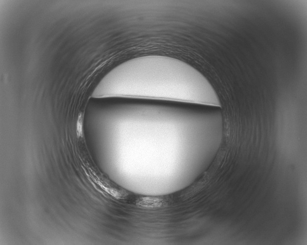 X0000086310095200703301008