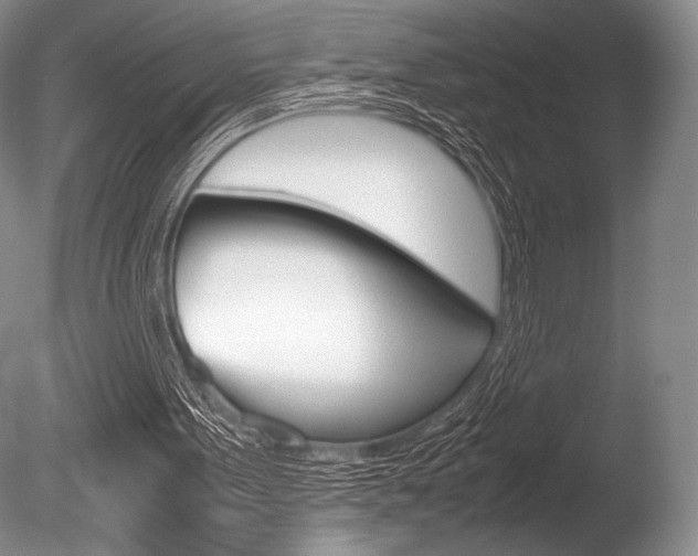 X0000086310099200703301007