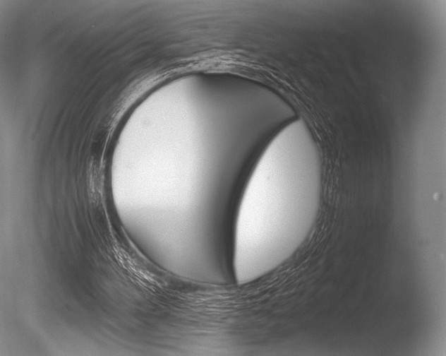 X0000086310100200703301007