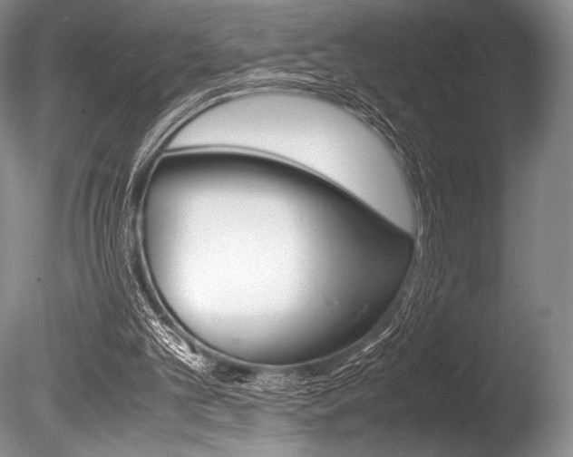 X0000086310101200703301007