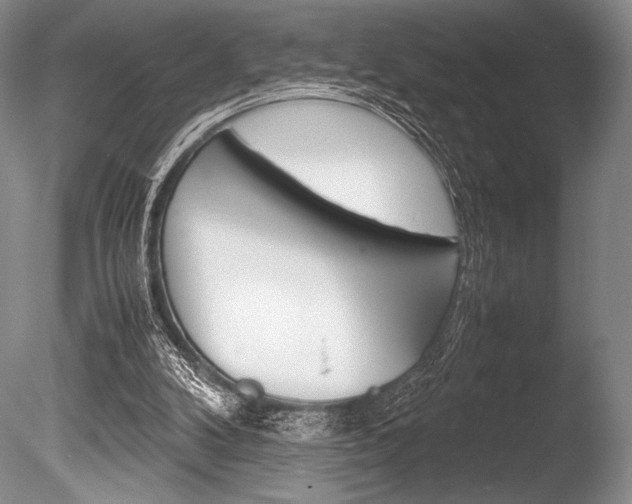 X0000086310104200703301007
